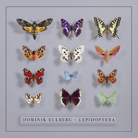 Dominik Eulberg Lepidoptera New CD Presale