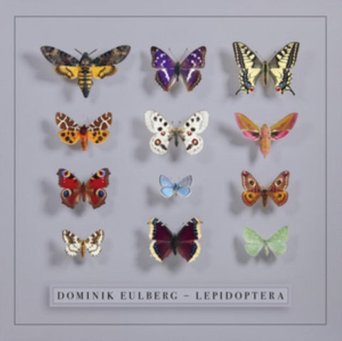 Dominik Eulberg Lepidoptera New CD Presale
