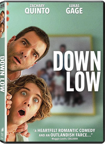 Down Low (Simon Rex Zachary Quinto Judith Light) New DVD