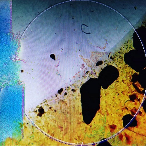 dreamTX Living in Memory of Something Sweet New CD