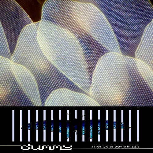 Dummy Do You Love the Color of the Sky New CD Presale