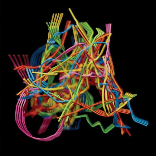 Dustin Wong Perpetual Morphosis New CD