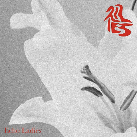 Echo Ladies Lilies New CD