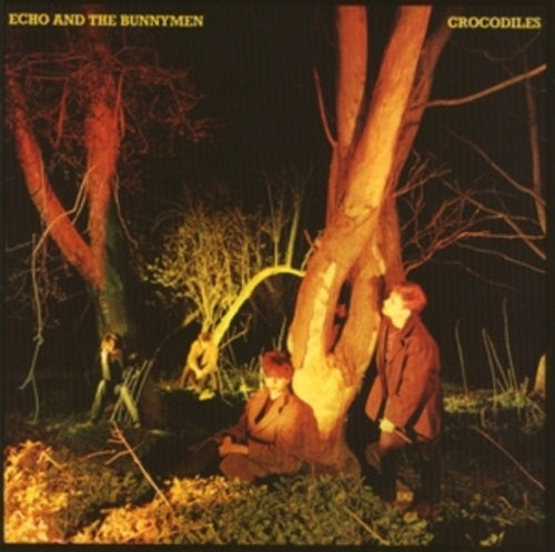 Echo & the Bunnymen Crocodiles And New CD Presale