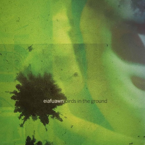 Eiafuawn Birds in the Ground New CD