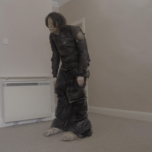 El Perro Del Mar Big Anonymous New CD