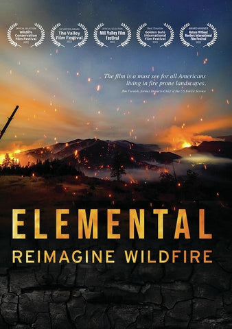 Elemental Reimagine Wildfire (David Oyelowo) New DVD