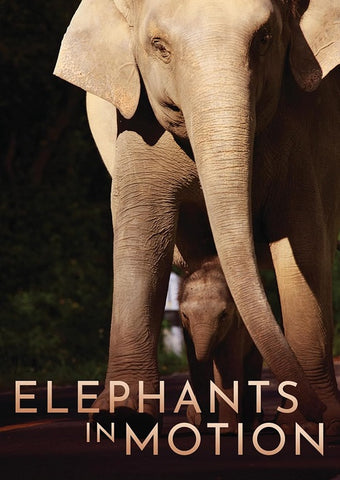 Elephants In Motion (Nick Jermyn) New DVD