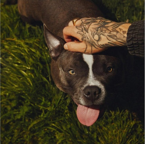 Enol Una Casa Con Jardin New CD