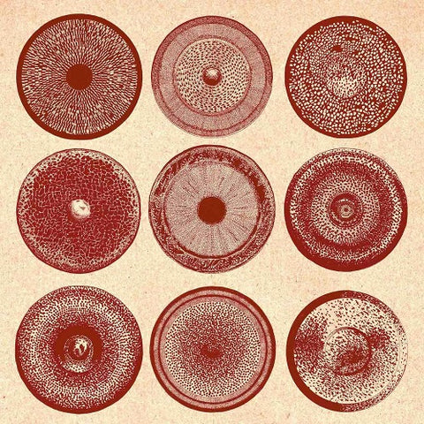 Ensemble Nist Nah Spilla New CD Presale