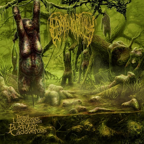 Epicardiectomy Dismal Landscapes Of Voluptuous Pustular Cadaverosis CD Presale