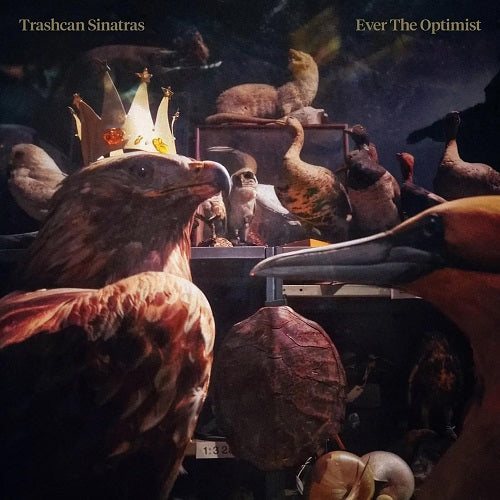 Trashcan Sinatras Ever the Optimist New CD Presale