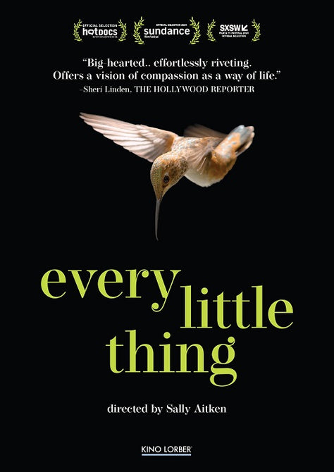 Every Little Thing (Terry Masear) New DVD