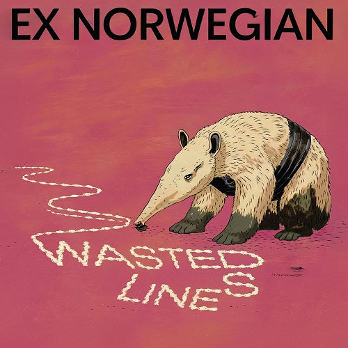 Ex Norwegian Wasted Lines 2025 Remaster New CD