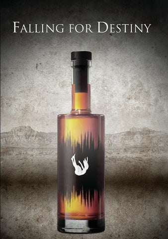Falling For Destiny (Caresse King Paige Lauren Billiot Max Gideon) New DVD