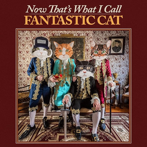 Fantastic Cat Now That's What I Call Fantastic Cat Thats New CD