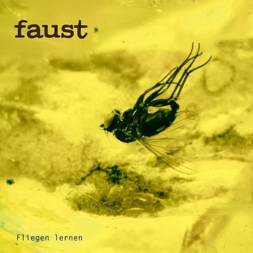 Faust Fliegen Lernen Curated By Gunther Wusthoff New CD Presale