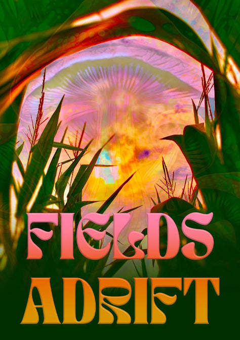 Fields Adrift (Aaron Massey Betsy Fraker Hannah Beatty) New DVD Presale