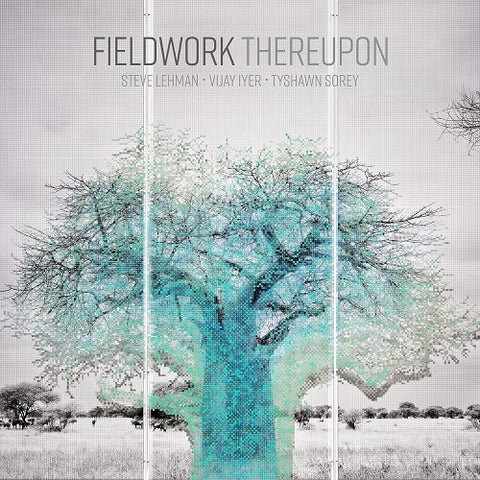Fieldwork Thereupon New CD Presale