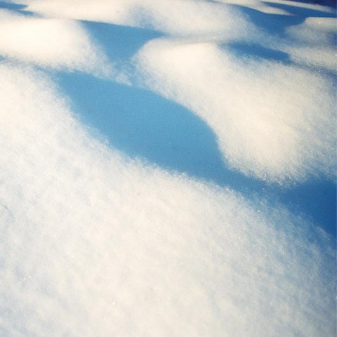 Flore Laurentienne 8 Tableaux Eight New CD