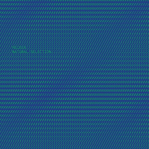 Florian Hecker Natural Selection New CD Presale