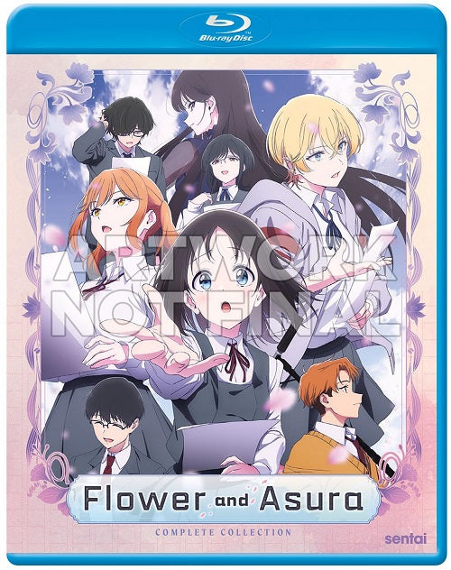 Flower and Asura Complete Collection (Minori Fujidera) & New Blu-ray Presale
