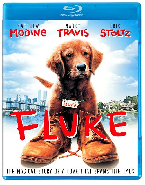 Fluke (Samuel L. Jackson Matthew Modine Nancy Travis Eric Stoltz) New Blu-ray