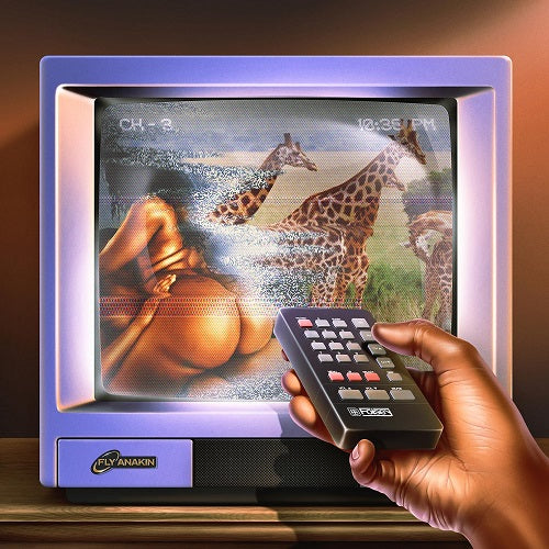 Fly Anakin Skinemaxxx New CD