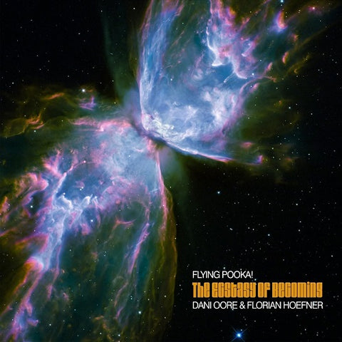 Flying Pooka The Ecstasy Of Becoming New CD