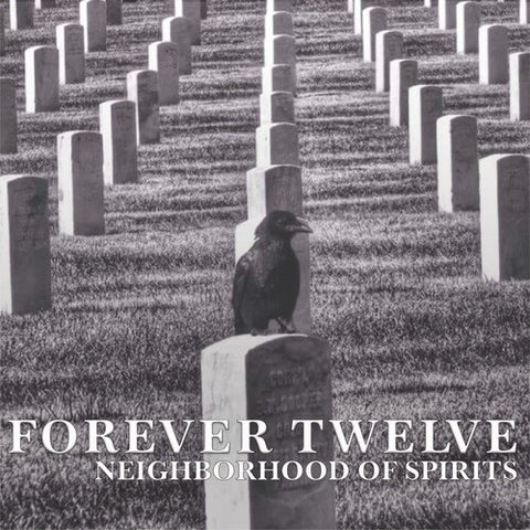 Forever Twelve Neighborhood Of Spirits 12 New CD