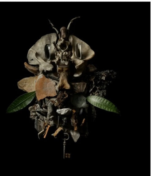 FRANCESCO FABRIS Displaces New CD Presale