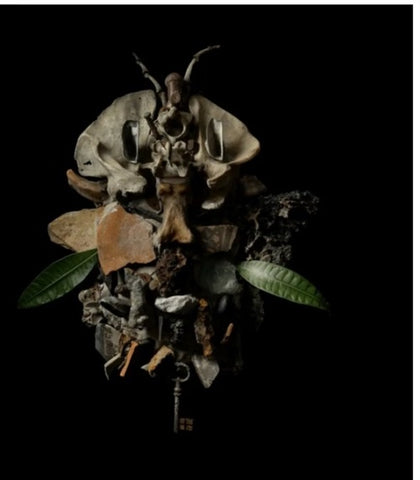 FRANCESCO FABRIS Displaces New CD Presale