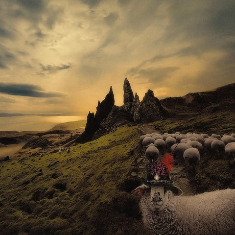 Franck Carducci Sheeple New CD Presale