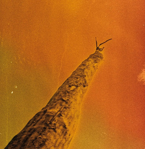 Frederic D Oberland Gregory Dargent Tony Elieh Wassim Halal SIHR New CD