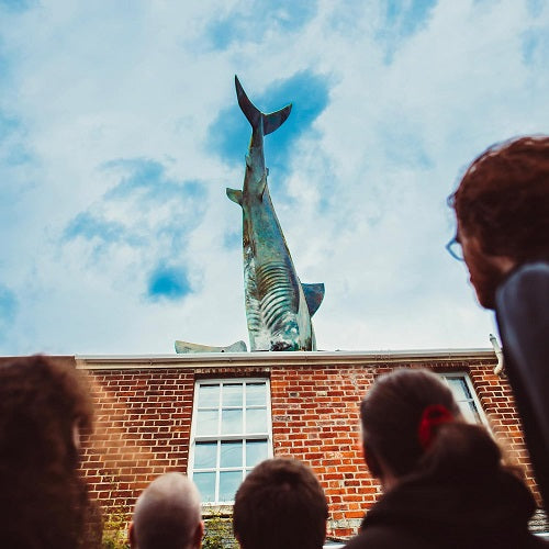 Gen and the Degenerates Anti fun propaganda & New CD