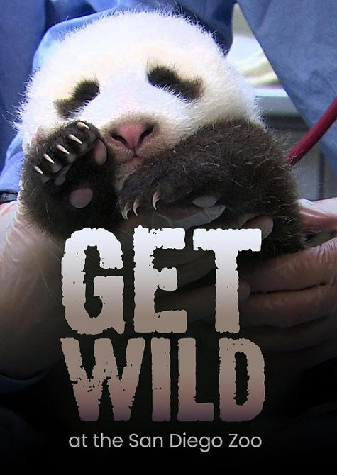 Get Wild (Bert Ellis) New DVD Presale