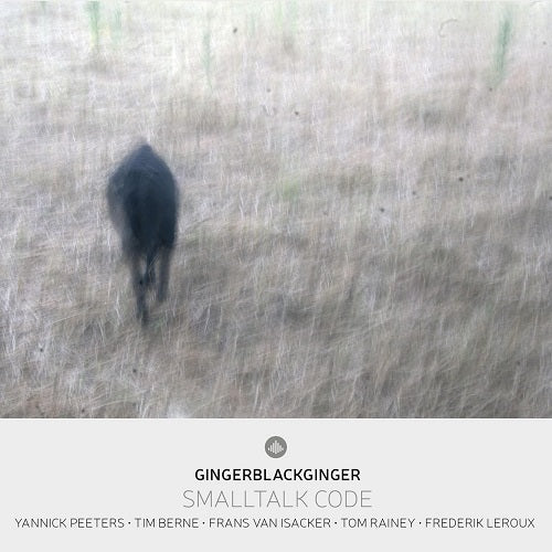 GingerBlackGinger Smalltalk Code New CD Presale