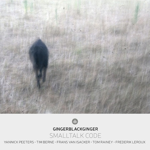 GingerBlackGinger Smalltalk Code New CD Presale