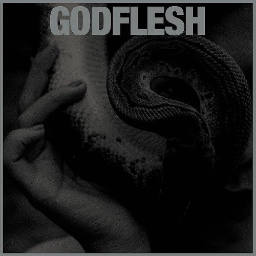Godflesh Purge New CD