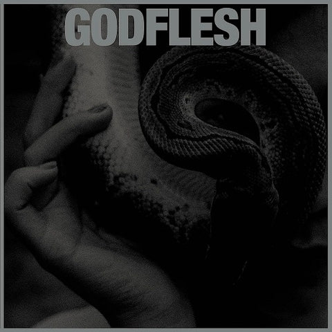 Godflesh Purge New CD
