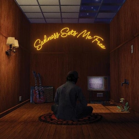 Gruff Rhys Sadness Sets Me Free New CD
