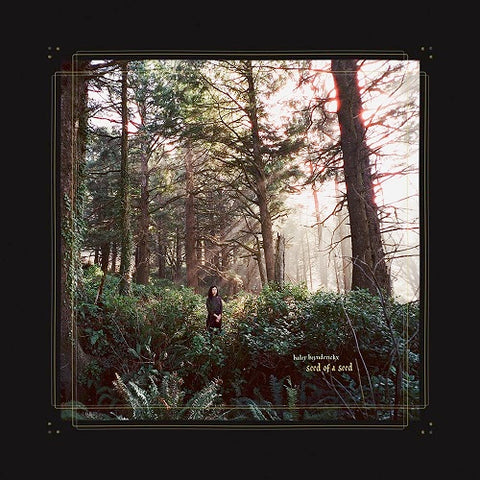Haley Heynderickx Seed of a Seed New CD Presale