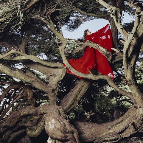 HANNAH FRANCES Nested In Tangles New CD Presale