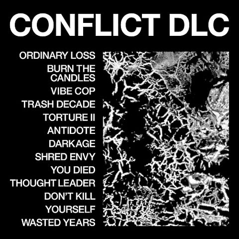 HEALTH CONFLICT DLC New CD Presale