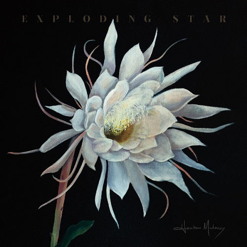 Heather Maloney Exploding Star New CD