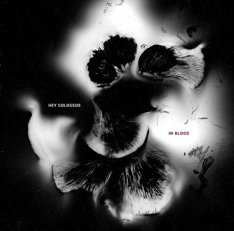 Hey Colossus In Blood New CD