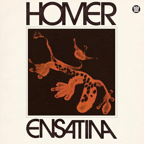 Homer Ensatina New CD