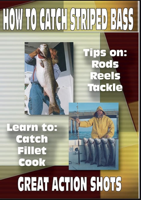 How To Catch Striped Bass Catch Clean Fillet And Cook & New DVD Presale