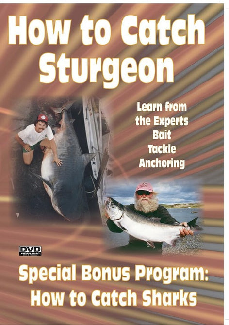 How To Catch Sturgeon And Sharks (Imrie Bowman) & New DVD Presale