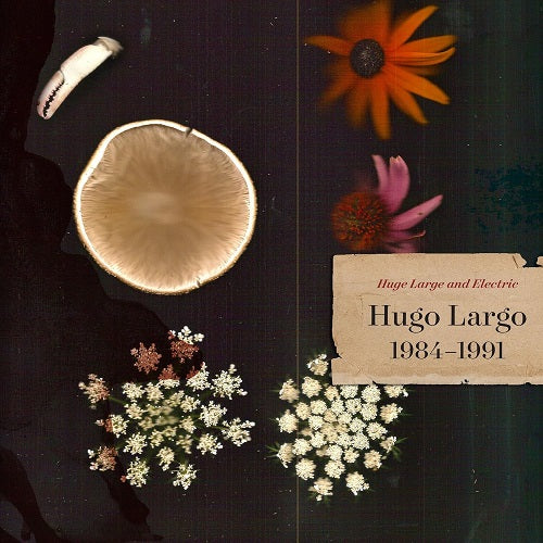 Huge Large And Electric Hugo Largo 1984-1991 1984 1991 New CD